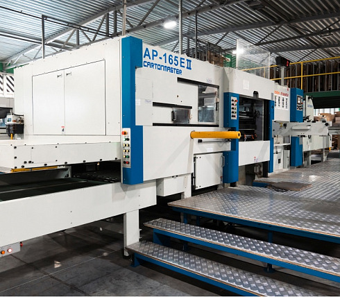 Flat and rotary die cutting lines